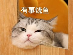 -绝城芋儿鸡(犀浦旗舰店)