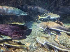 -太平洋海底世界