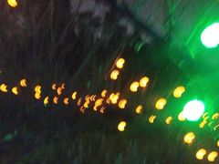 -昆山城市生态森林公园