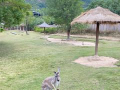 -泉州海丝野生动物世界