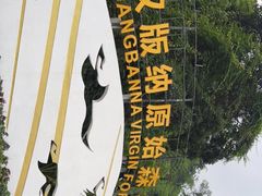 -西双版纳原始森林公园