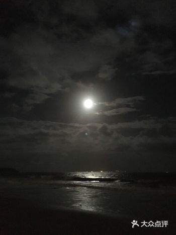 永远畅游在海中 有圆，有残 每次都是这样 她望着我的心