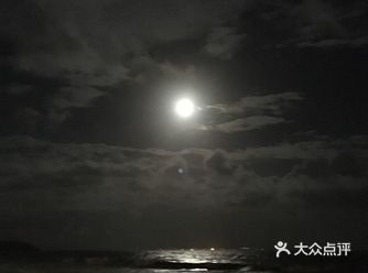 永远畅游在海中 有圆，有残 每次都是这样 她望着我的心