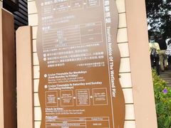 -大湾区中央湿地公园