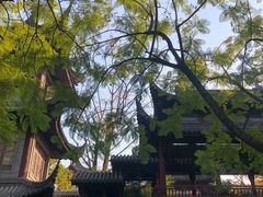 -龙潭水乡
