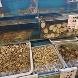 进京渔湾餐厅，吃平价海鲜。
