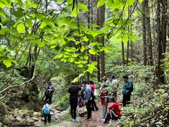 -素山寺森林公园