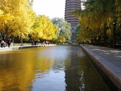 -玲珑塔公园