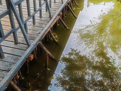 -南国桃园旅游度假区