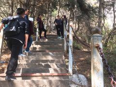 -陕西省红河谷森林公园
