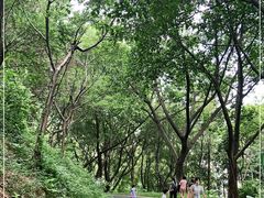 -广州雕塑公园