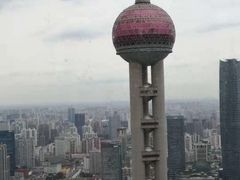 -金轩中餐厅 Jin Xuan(浦东丽思卡尔顿酒店)