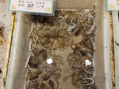 -拉完海鲜大排档(温岭店)