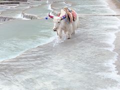 -玉龙雪山游客服务中心