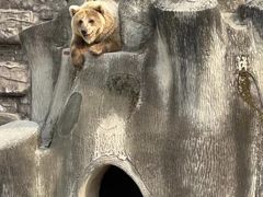 -哈尔滨北方森林动物园