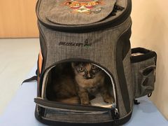 -萌兽医馆·犬猫专科·眼科中心·宠物医院(朝阳门分院)