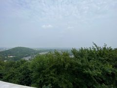 -上海佘山国家森林公园西佘山园