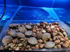 -喜庭海鲜自助(来福士店)