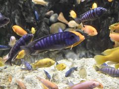 -太平洋海底世界