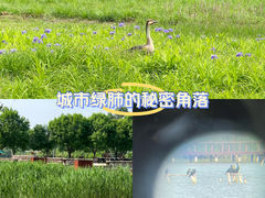 -翠湖国家城市湿地公园