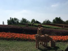 -梁鸿国家湿地公园