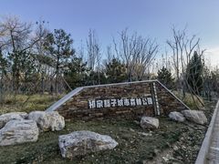 -北极寺公园