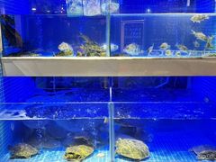 -王捌小院(红花坡店)