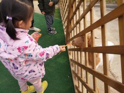 -萌宠亲子动物乐园(槐房万达店)