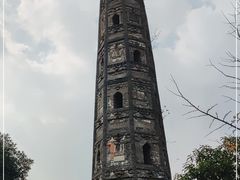 -上海佘山国家森林公园天马山园