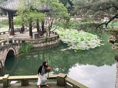 -忠山公园