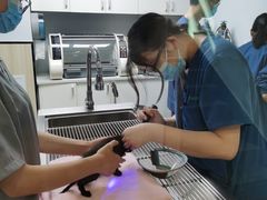 -瑞派紫金宠物医院24小时·骨科·中兽医·重症转诊中心(番禺大石院)