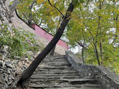 -北京上方山国家森林公园