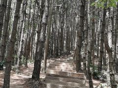 -罗田薄刀峰风景区