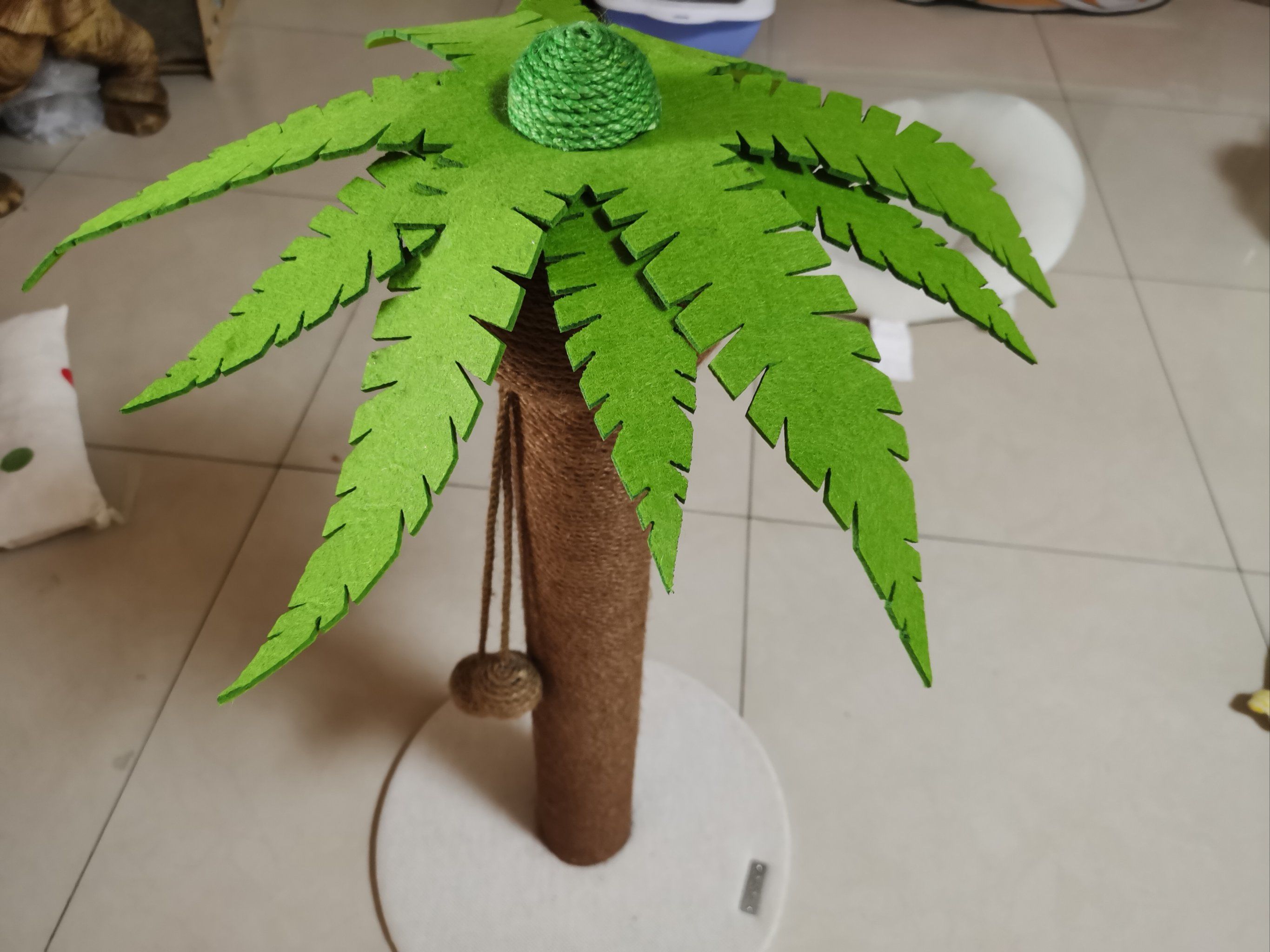 热爱生活的小猫咪