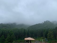 -硗碛藏寨·神木垒景区
