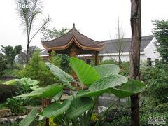 园子2-陶然居·重庆菜(生态园店)