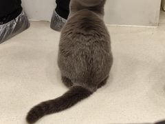 -共舞时光猫咖·狗咖(新街口店)