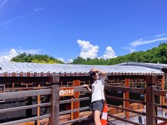 -大湾区中央湿地公园