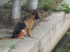 android_upload_pic-练塘古镇