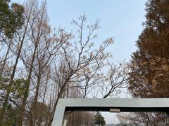 -白塘生态植物园