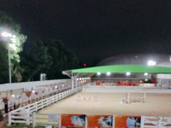 -名驭国际马术学院