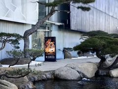 -罗红摄影艺术馆