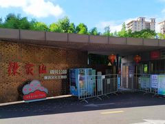-陈家山荷花公园