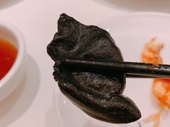 -金春禧(世茂国际广场店)