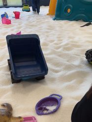 -超级奈尔宝SUPER NEOBIO(杭州星光店)