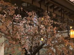-绿茶餐厅(朝阳大悦城店)