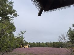 -同里国家湿地公园