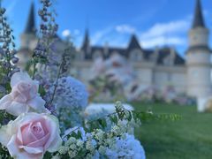 -北京张裕爱斐堡酒庄