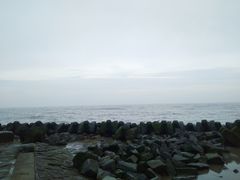 -南汇嘴观海公园