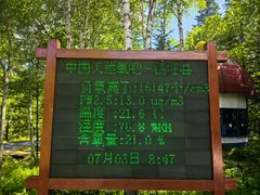 -汤旺河林海奇石景区